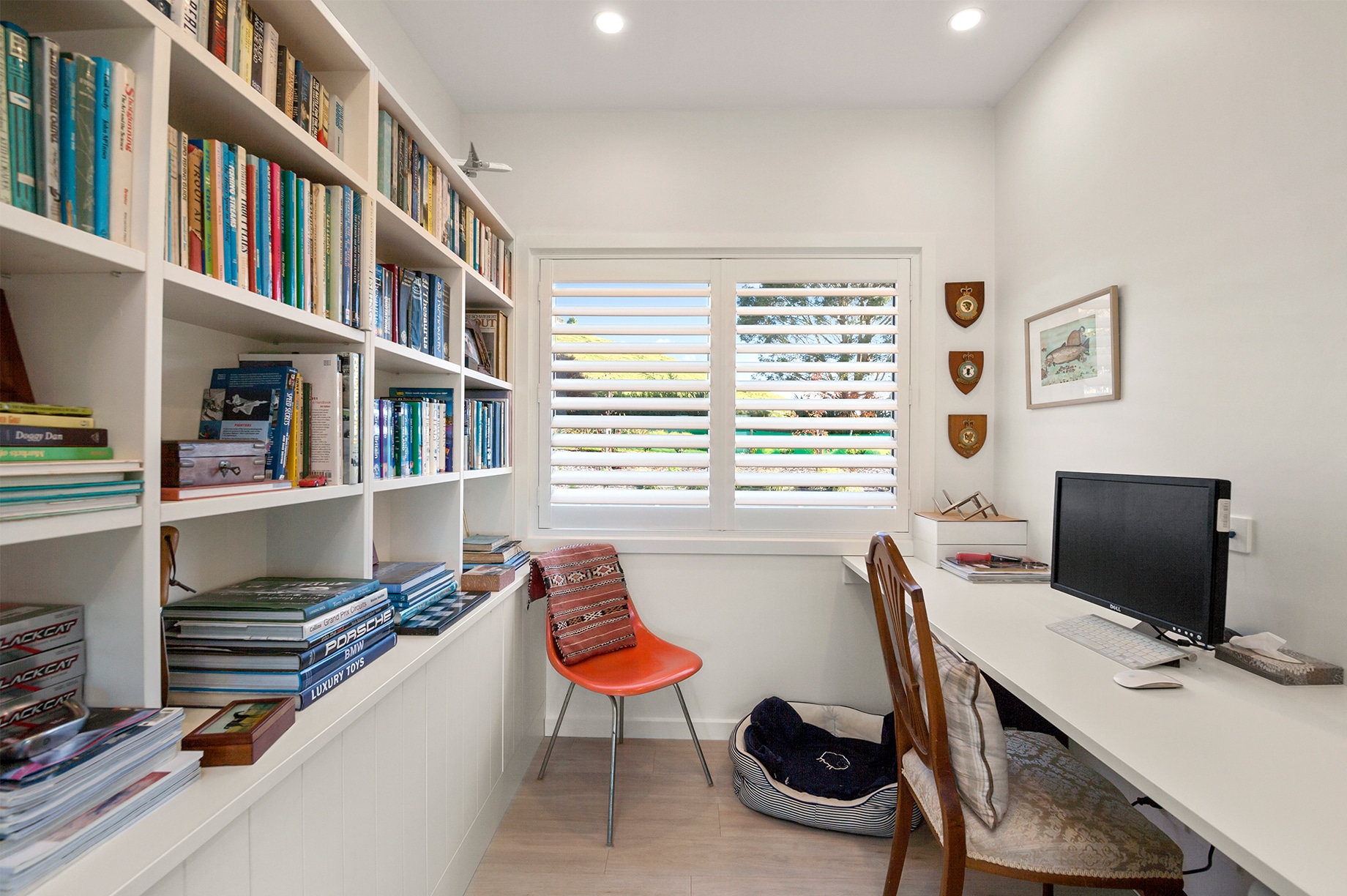 office room with white shelves interior