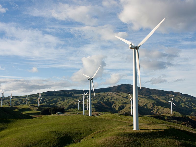 Manawatu wind power fans
