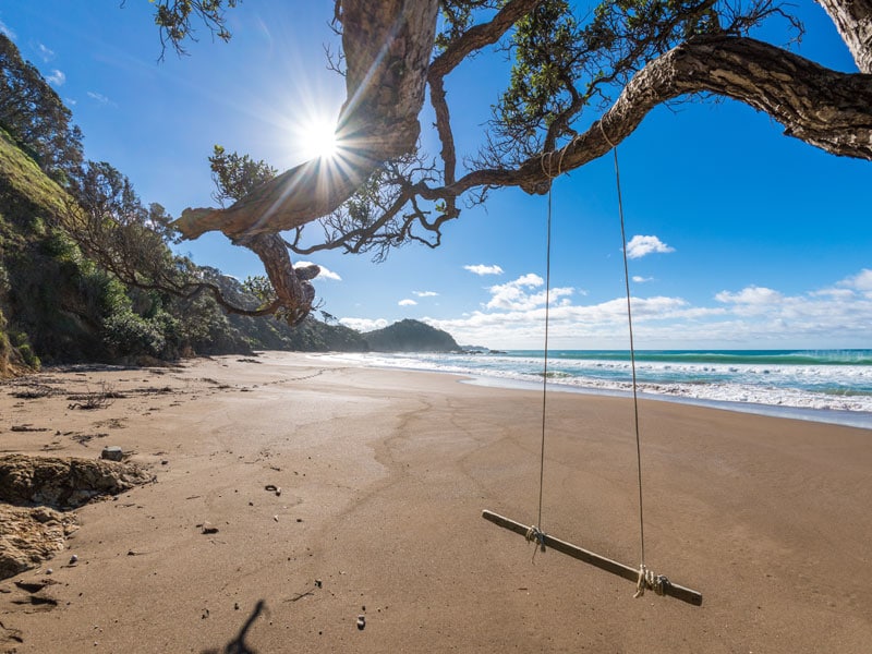 Beach view with a handmade swing